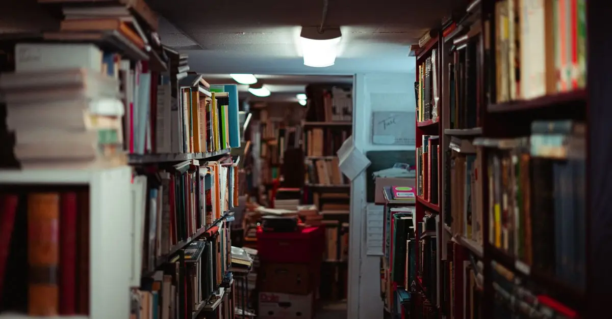 Cómo Aprender Español a Través de la Literatura Clásica