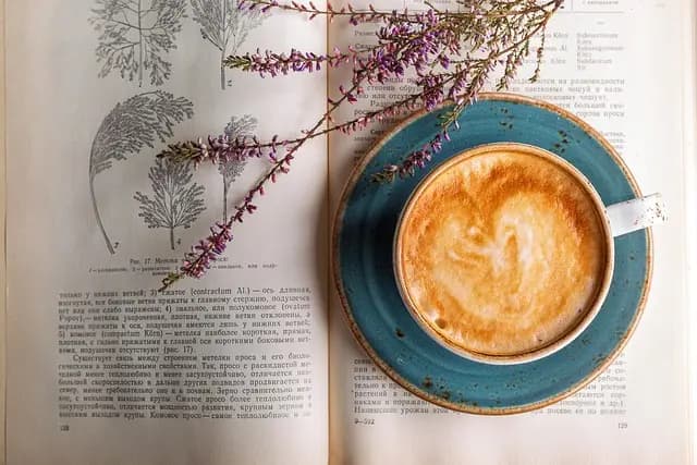Cómo Aprender Español a Través de la Literatura: Estrategias Efectivas