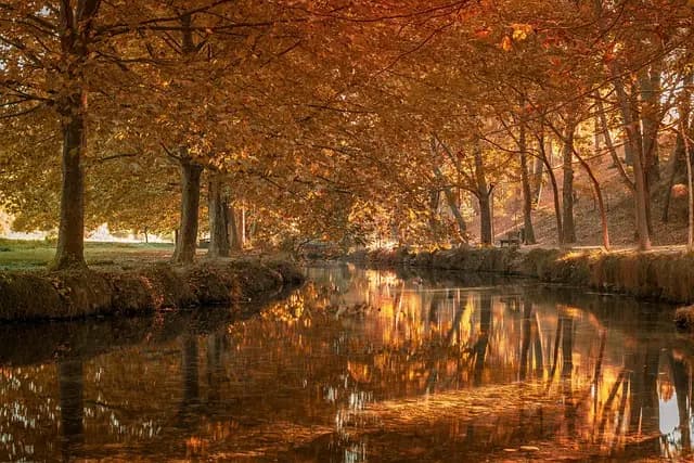 Cómo Crear un Ambiente Ideal para Aprender Español