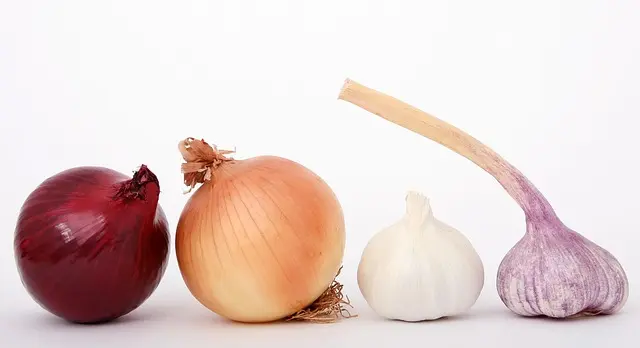 Cómo Utilizar Recursos de Cocina Para Aprender Español Efectivamente