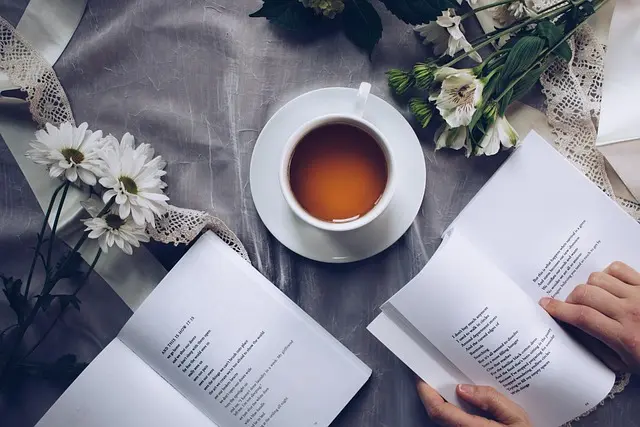 Cómo Aprender Español a Través de la Literatura: Estrategias Efectivas