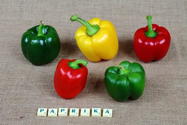 10 Aplicaciones que Facilitan Aprender Español Efectivamente
