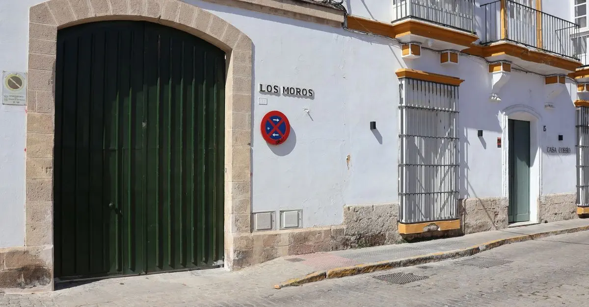 Cómo Elegir el Curso de Español Perfecto para Mejorar Rápido