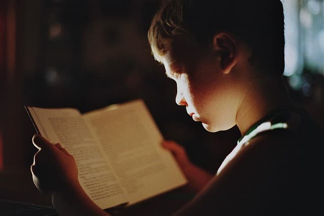 Cómo Diseñar un Plan de Estudio Personalizado para Aprender Español